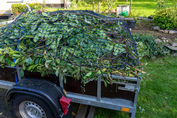 Best Dumpster Rental Services  in Robins, IA